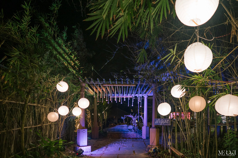 Beach Weddings
