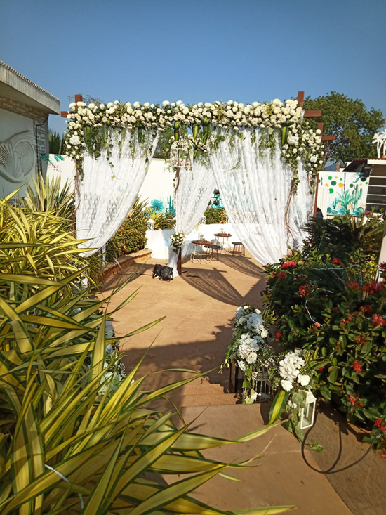 Contemporary Decor