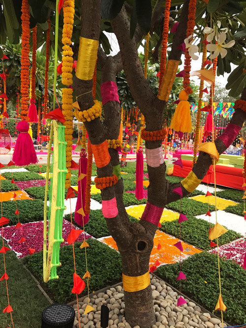 Vibrant Mehendi