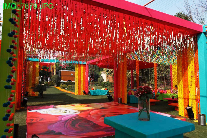 Vibrant Mehendi